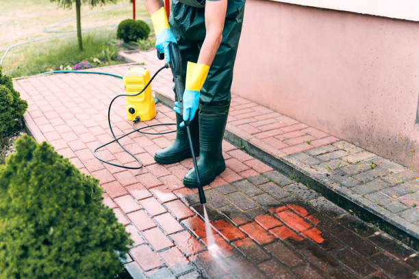 Animal Enclosure Cleaning in Stillwater, OK